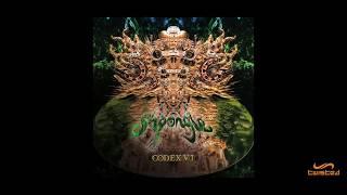 Shpongle - Herr Gringleflapper’s Secret Stash Box