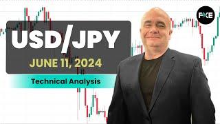 USD/JPY Daily Forecast and Technical Analysis for June 11, 2024, by Chris Lewis for FX Empire