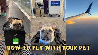 Tips For Flying With Your Pet!