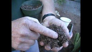 Potting Soil Recipe for Cacti and Succulents