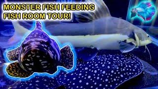 Fish Room Tour Feeding Monster Fish