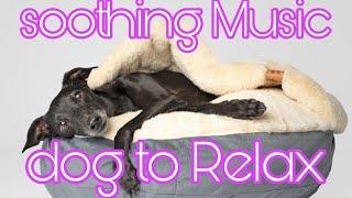 Soothing Music for Dogs to relax || Dog Music to Sleep