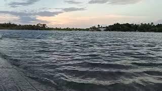 Peaceful Lake And Relaxing Water Sounds|Felly Lifestyle