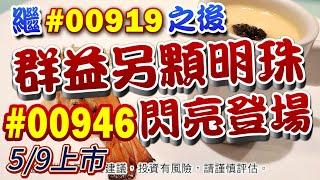 #00919 之後群益新星#00946 上市資訊及優缺點看法分享