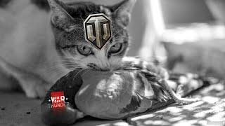 WOT PRO DESTROYS WARTHUNDER