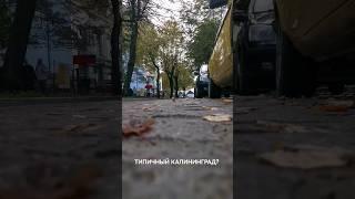 Типичный осенний Калининград!