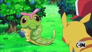 Happy Caterpie