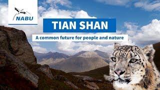 Tian Shan mountains - Future for snow leopards and people