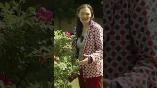 ВМЕСТЕ МЫ СМОЖЕМ Дачный агроном