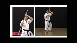 Kyokushin Kan - Kihon Bo (Bo Basics)