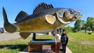 The World's Largest Sauger