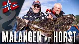 Mit Horst am Malangen-Fjord! 