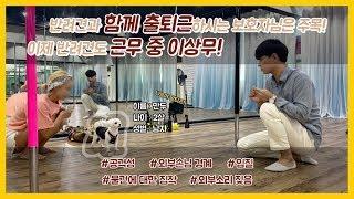 [SOON] 보호자님과 함께 출근하는 강아지! 하지만 외부인에 대한 경계가 너무 심하다면?