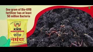 Narmada Bio KMB - Potash Mobilizing Biofertilizer