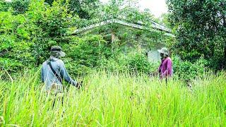 Scary House with Neighbors ~ I clean and cut the OVERGROWN grass | Oddly Satisfying TRANSFORMATION