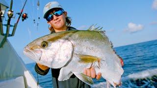 Deep Sea Fishing in Miami (Amberjacks, Dolphin, and Wahoo)