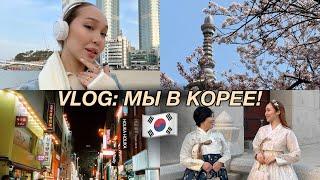 KOREA VLOG: мы с мамой в дораме | поездка в Сеул и Пусан