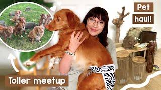 Pet supply haul & Puppy family reunion | VLOG