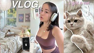 VLOG › focusing on myself, getting a cat, my healing era, new hair