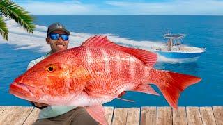 The Truth About Florida's Endangered Fishery (Catch Clean & Cook Red Snapper)