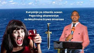 Intambara ya Mayimuna na Papa king kunyanja ya Atlantic ocean // Mayimuna yabyaranye numudamu huye