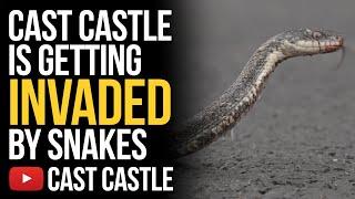 Cast Castle Is Getting Invaded By Snakes