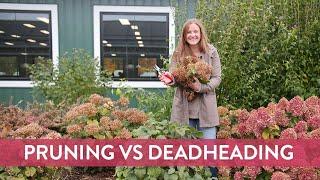 Pruning vs Deadheading