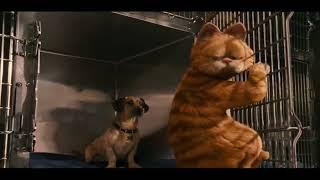 Garfield: A Tail of Two Kitties (2006) without context