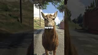 Animales VS Tren de GTA 5