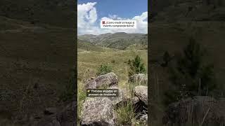 ¿CÚANTO VALE UNA HECTÁREA EN LAS SIERRAS DE CÓRDOBA?