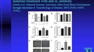 Inflammation, Temperature and Therapeutics - E Hollander, MD