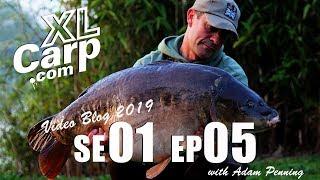 Fryerning Fisheries Video Blog Ep 5 April 2019 with Adam Penning