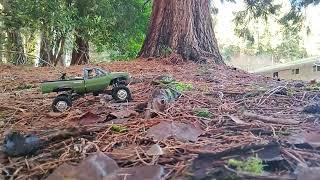 Wild Bill Driving the Wplc24-1 Trail Crawling FUN