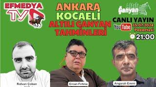 16.07.2024 Salı Kocaeli ve Ankara Altılı Ganyan Tahminleri