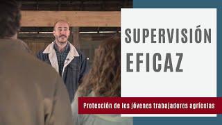 Supervisión eficaz