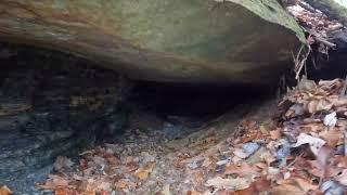 Inside An Old Coal Mine in the Woods