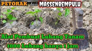 PETORAK alat pembuat lubang tanam pada BEDENGAN untuk tanaman cabe tomat terong kubis kacang