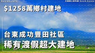 台東成功豐田社區-稀有渡假超大建地｜售價1258萬｜台東縣成功鎮｜豐田部落｜度假建地｜台東觀光景點｜David Estate