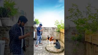 Dog attacking small man saved by Ayan - Funny vfx magic  #funny #shorts