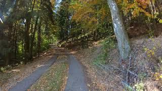 Mountainbike Tour-Goldener Herbst Pferdeeisenbahn - Unterweitersdorf / Neumarkt  16.10.2018