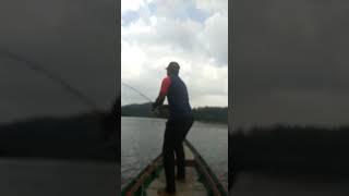 Trolling in Mangroves by Baits and Bites fishing adventures from Andamans