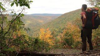 Pennsylvania's Grand Canyon, Pine Creek Gorge - TIOGA County