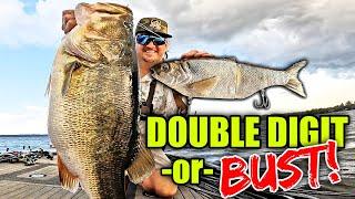 Fishing for ONLY Double Digit Bass w/ GIANT Baits!!