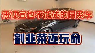 再便宜也不能碰的日系车，割韭菜还玩命。