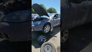 I want the story on this  #automotiveshorts #nissanaltima #junkyardfinds