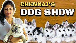 கண்கவரும் Chennai's Dog Show : Cutest Dog Collection | Madras Canine Club