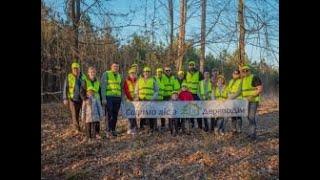 Компанія «ДеревоДім» взяла участь у щорічному озелененні лісів