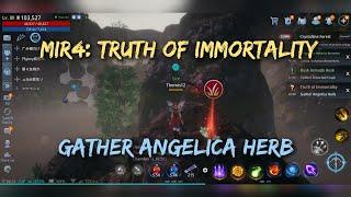 MIR4: Truth of Immortality | Gather Angelica Herbs locations | Unlocks Arcanean Remedy