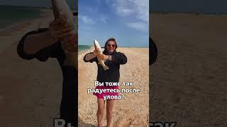 Рыбалка на пеленгаса в Крыму, на Азовском море. #крым #рыбалка #черноеморе #fishing