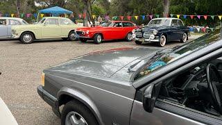  Volvo at the 50th Scandinavian Festival - Thousand Oaks ScanFest 2024